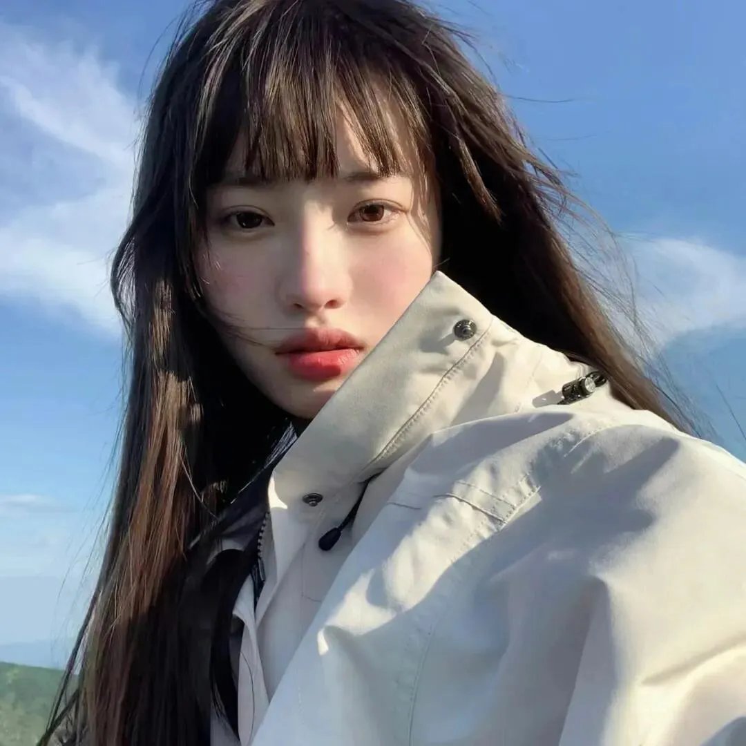 企鹅之岛:福克兰